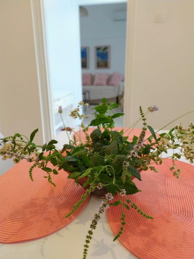 Kalymnos Residence Zewnętrze zdjęcie